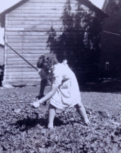Weeding the Victory Garden-1942